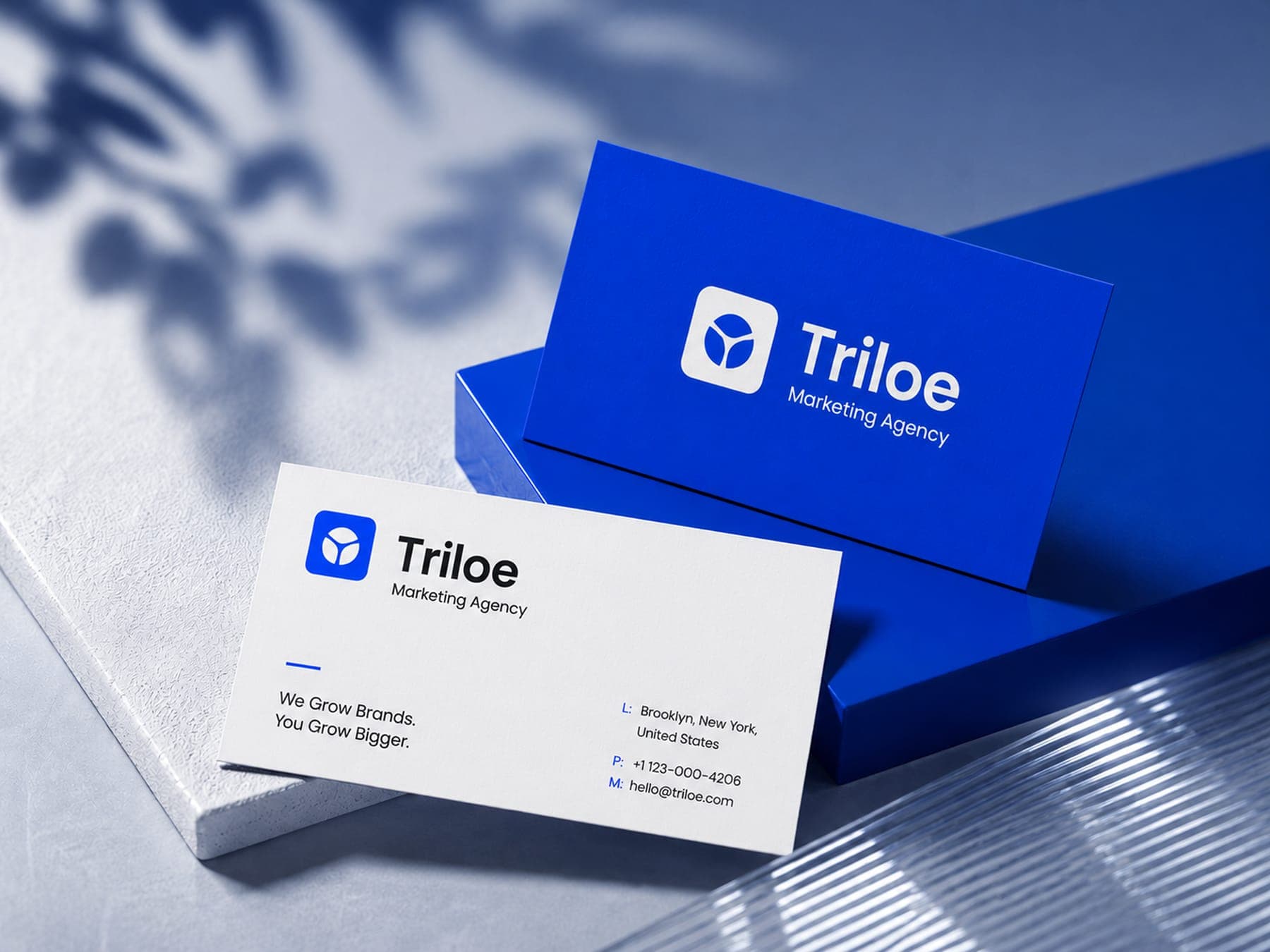 The cards: a 3D render of the Triloe identity