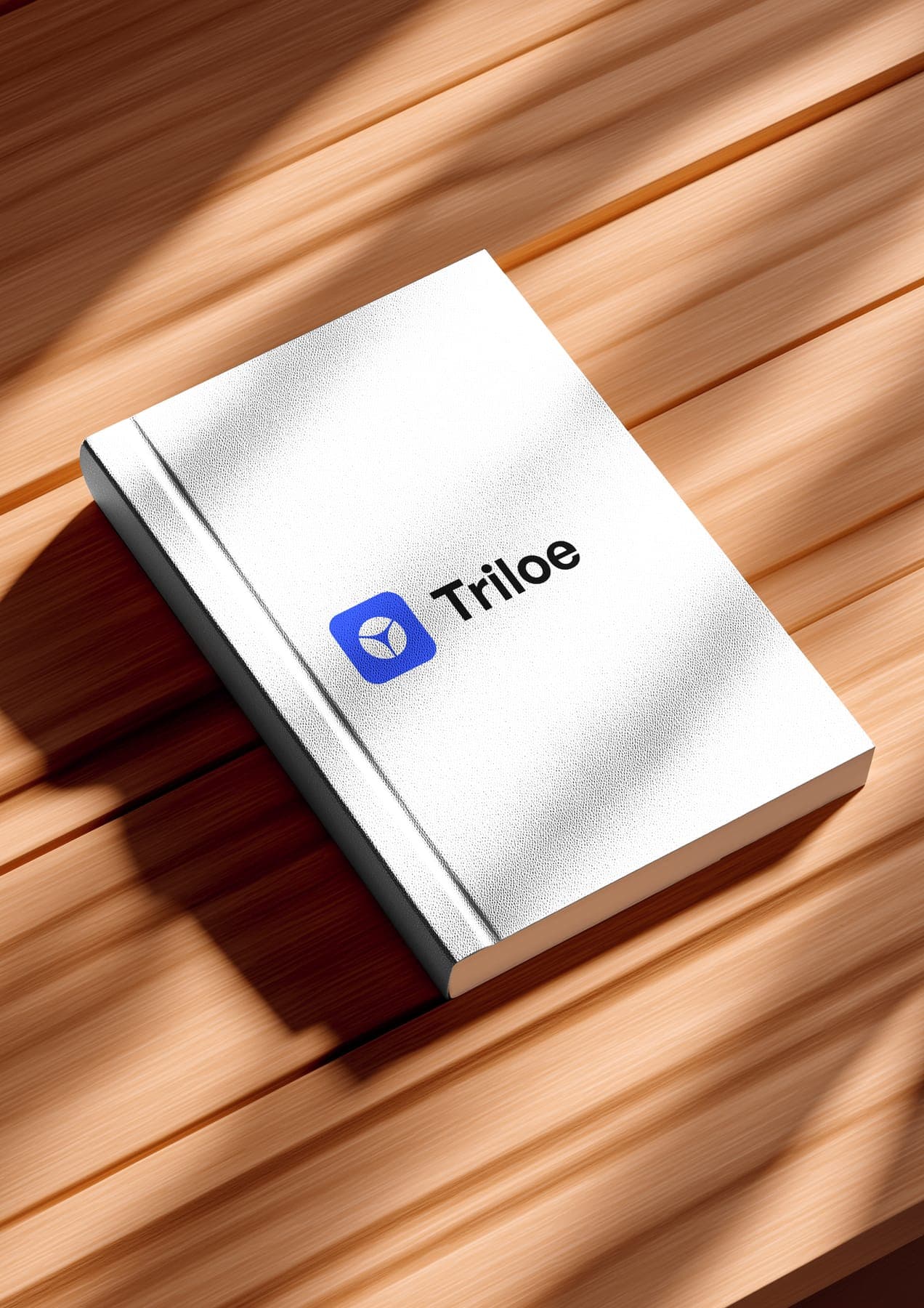 The notebook: a 3D render of the Triloe identity