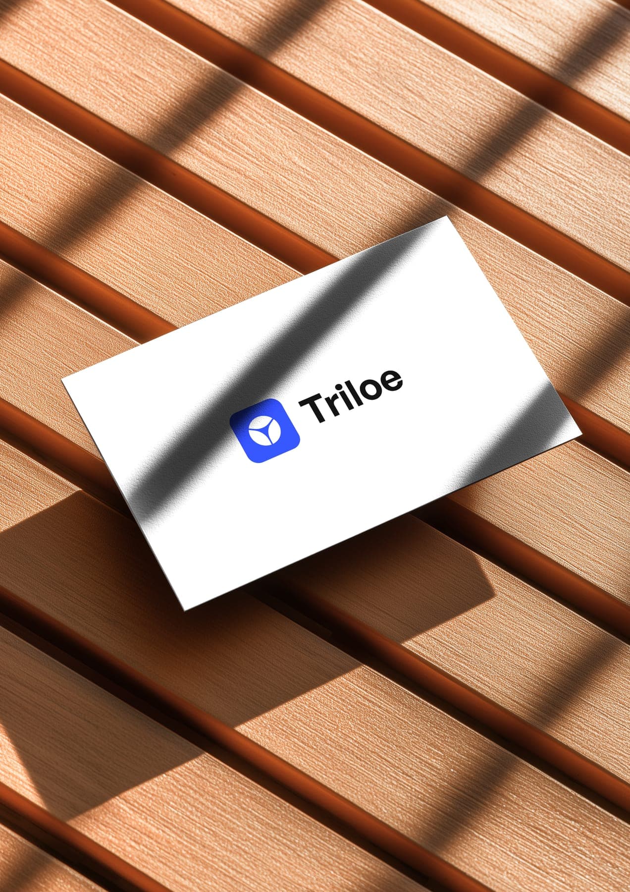 The card: a 3D render of the Triloe identity
